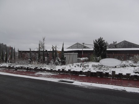 111210 ennnosoto.JPG