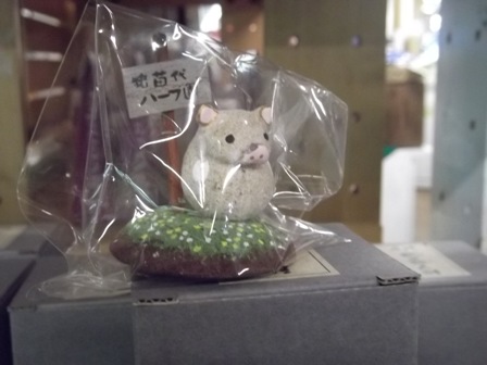 120109 minibuta okimono1.JPG