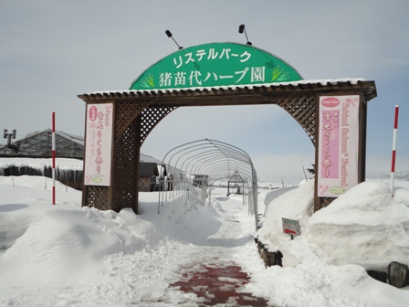 120301 iroguchi0.JPG