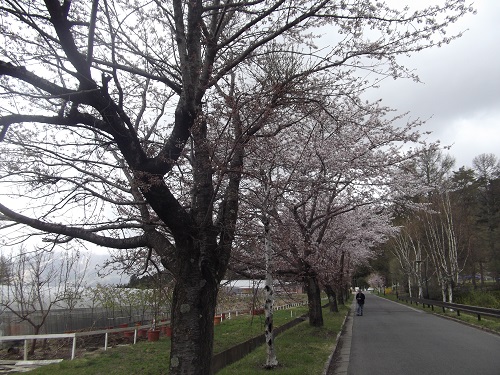 http://www.listel-inawashiro.jp/blog/201305011.jpg