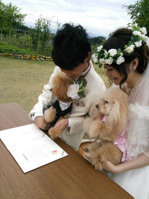http://www.listel-inawashiro.jp/blog/20130529_184812.jpg