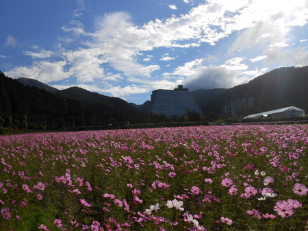 DSCN0608.JPG