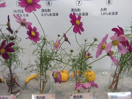 201309273.jpg