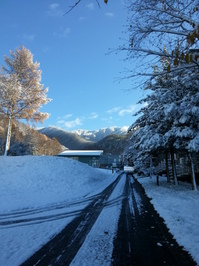 20131129_084521.jpg