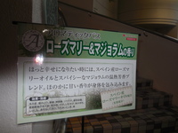 DSCN1690.JPG