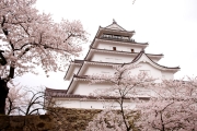 会津若松の難攻不落の名城とうたわれた鶴ヶ城です。
