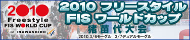 2010フリースタイルFISワールドカップ猪苗代大会