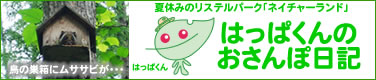 はっぱくんのおさんぽ日記