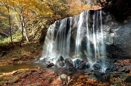 達沢不動滝の紅葉