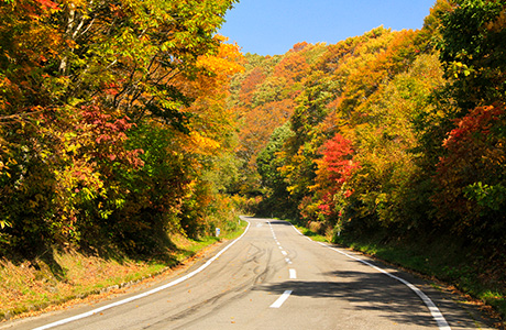 磐梯山ゴールドラインの紅葉