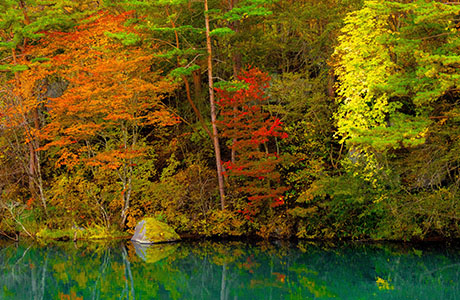 五色沼の紅葉とエメラルドグリーンの水面