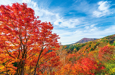 磐梯吾妻スカイラインの紅葉ドライブ