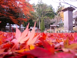 土津神社