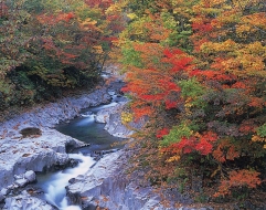 中津川渓谷