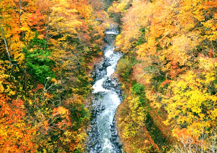 中津川渓谷の紅葉