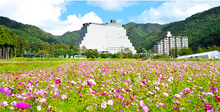 The Inawashiro Herb Garden