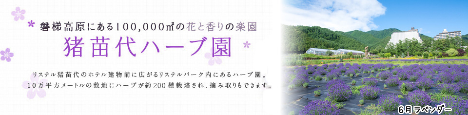 磐梯高原にある100,000㎡の花と香りの楽園 猪苗代ハーブ園