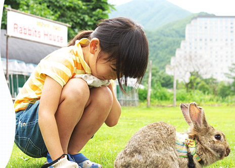 うさぎとお散歩