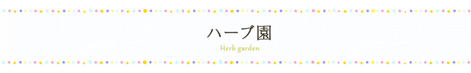 ハーブ園