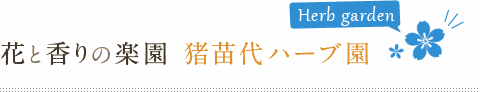 花と香りの楽園 猪苗代ハーブ園