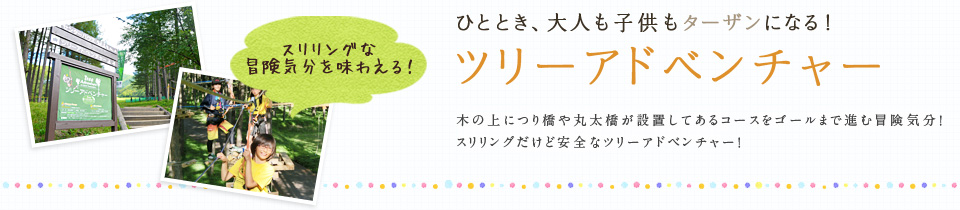 ひととき、大人も子供もターザンになる！ツリーアドベンチャー