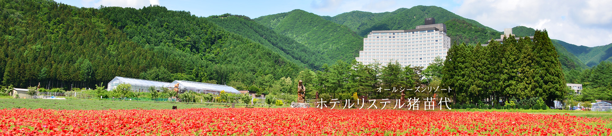 自然と共に華やかなウェディング