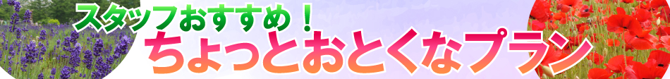 おすすめプラン