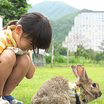 기타