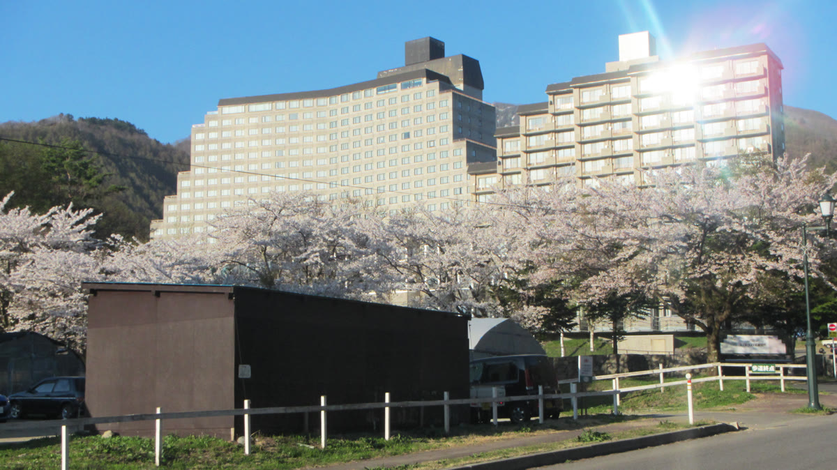 リステルハーブ園の桜