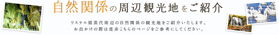 自然関係の周辺観光地をご紹介