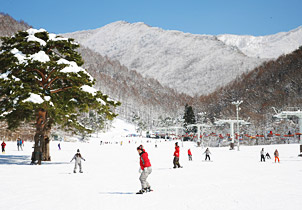 ロイヤルクリスティ中部