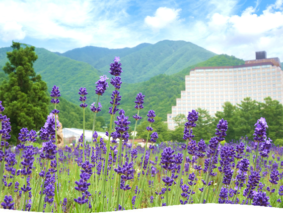磐梯高原にある100,000㎡の花と香りの楽園 猪苗代ハーブ園
