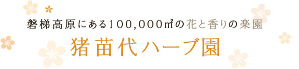 磐梯高原にある100,000㎡の花と香りの楽園 猪苗代ハーブ園