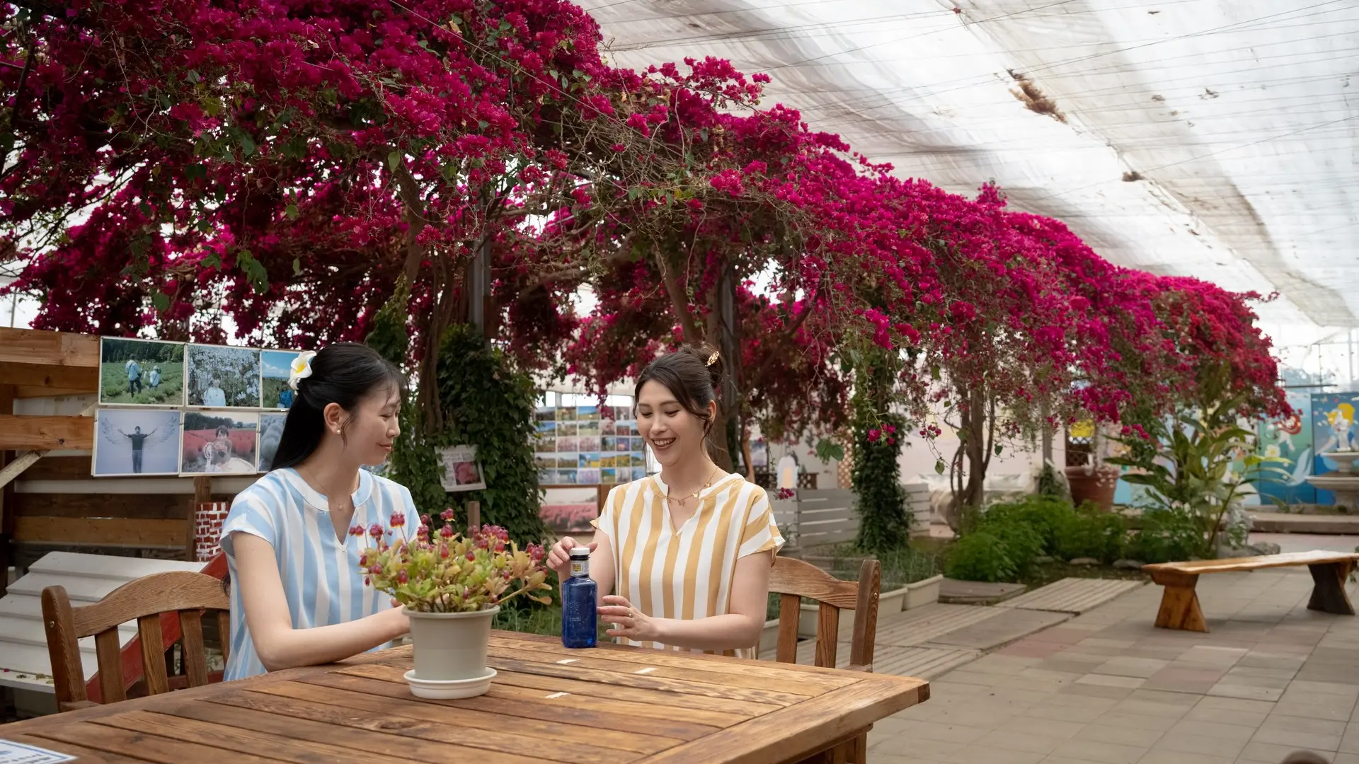 グリーンハウス