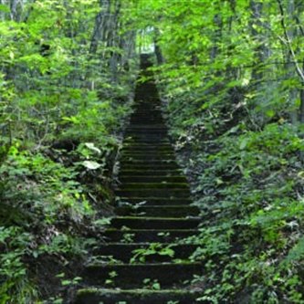 ทัวร์เดินป่ายามเช้า